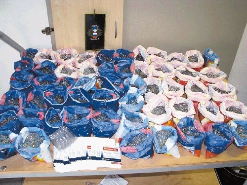 Policisti so lani na mejah in v notranjosti države zasegli približno dvajset litrov in  več kot 20.000 tablet anaboličnih...