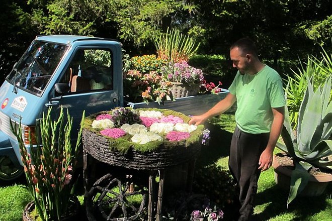 V Mozirskem gaju razstava s cvetjem okrašenih odsluženih avtomobilov