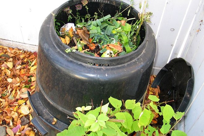 Česa vse ni pametno odvreči na kup za kompostiranje