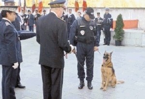 Francoski policijski pes prejel medaljo za pogum