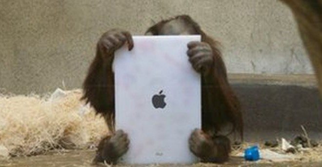 Orangutani so navdušeni nad moderno tehnologijo.