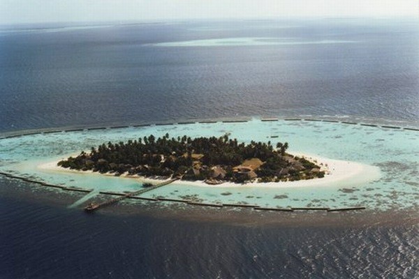 Maldivi.