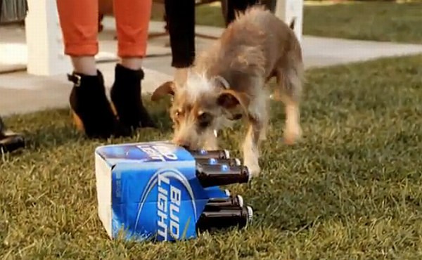 Prizor iz oglasa za pivo Bud Light