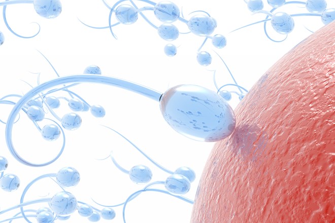Dobra novica: spermijev je na pretek 