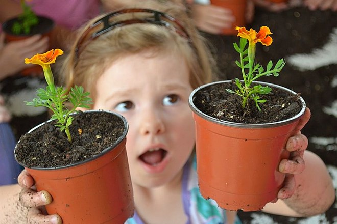 Pet enostavnih cvetlic, ki jih zlahka gojijo tudi otroci