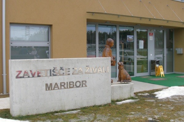 Mariborsko zavetišče za živali.