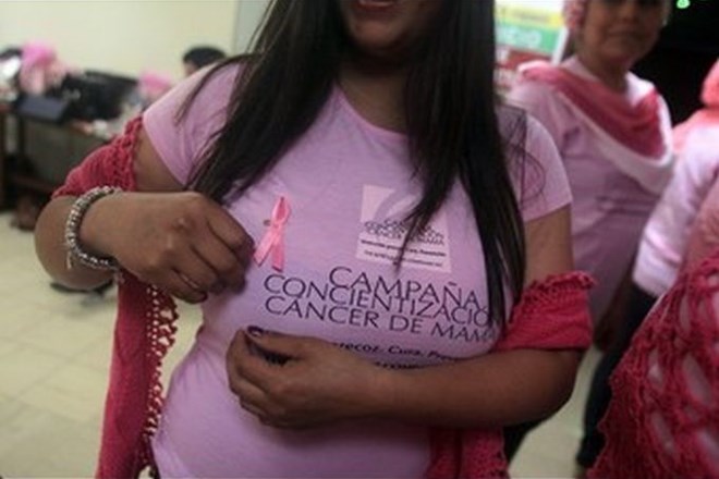 Roza pentlja za boj proti raku dojk.