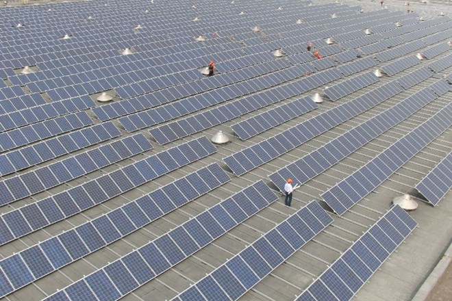 Bisol načrtuje največjo sončno elektrarno na Primorskem