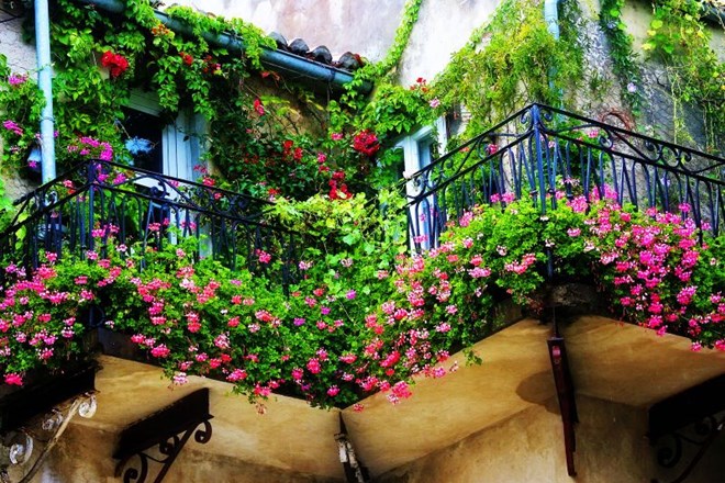 Balkon spremenite v vrt in uživajte na svežem zraku