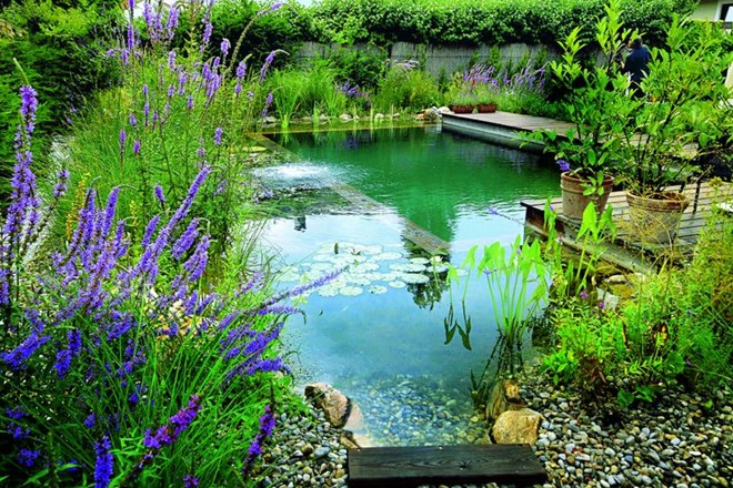 Poživljajoč naravni bazen za brezskrbne poletne užitke
