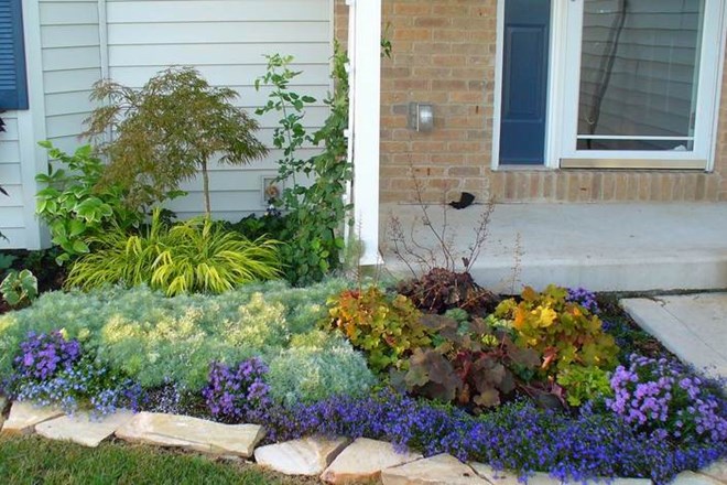 Izkoristite dvorišče in na njem posadite užitne rastline