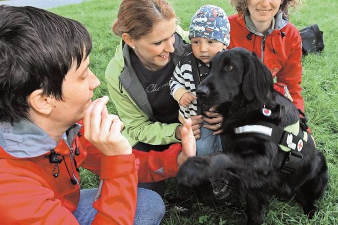 Vodilni trio Zavoda za terapijo s pomočjo psov – PET: Mojca Debevc, Valentina Horvat Kokelj in Monika Rijavec se zavzemajo,...
