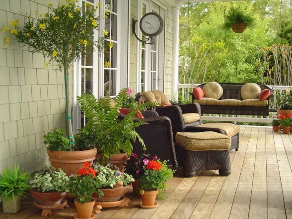 Ozelenite pusto verando s svojimi najljubšimi rastlinami