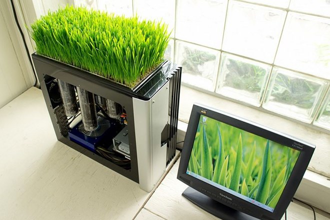 Prilagojeni računalnik uporablja toploto za rast rastlin