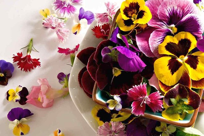 Užitne cvetlice kot element skušnjave v elitnih kuhinjah