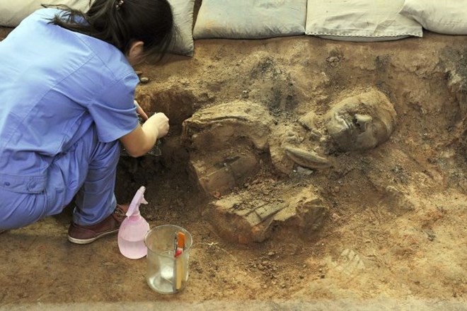 Vojščaki iz žgane gline danes veljajo za eno najpomembnejših arheoloških najdb 20. stoletja.
