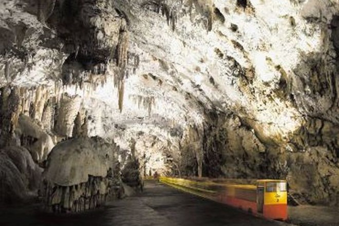 Postojnsko jamo je lani obiskalo 550.000 ljudi, večinoma tujih turistov.