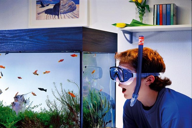 Lep akvarij je paša za oči: o osnovah akvaristike doma