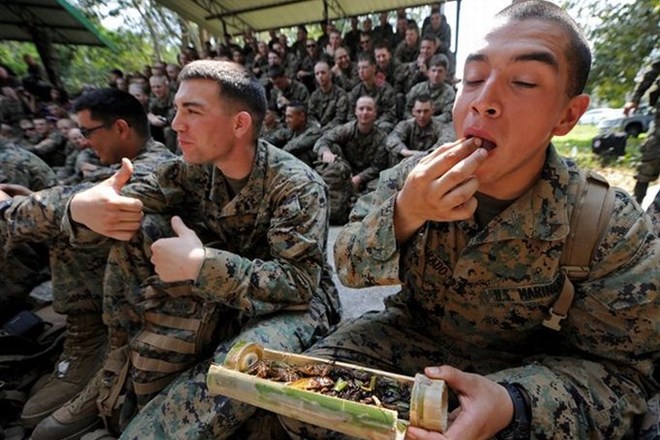 Na sliki so ameriški marinci, ki so kot del vaje preživetja v držungli jedli kobilice in čričke.