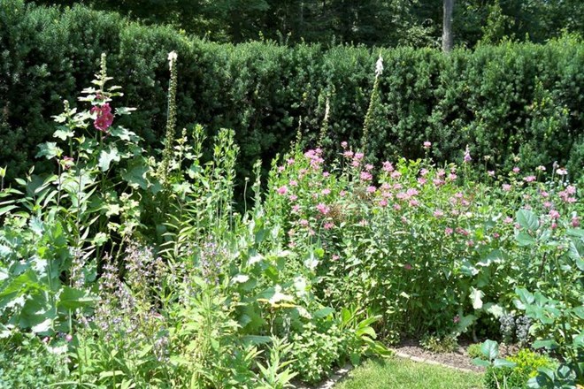Razkrivamo drobne skrivnosti urejanja majhnih vrtov