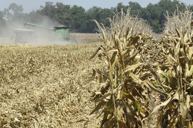 Skoraj dve tretjini ozemlja ZDA pesti suša