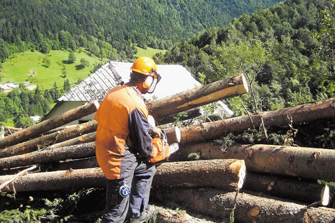 Spremembe zakona o gozdovih utegnejo gozdnogospodarska podjetja popolnoma izključiti iz izkoriščanja lesa iz državnih...