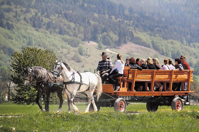 Po najlepši tematski poti v Sloveniji se je mogoče popeljati tudi z lojtrnikom.