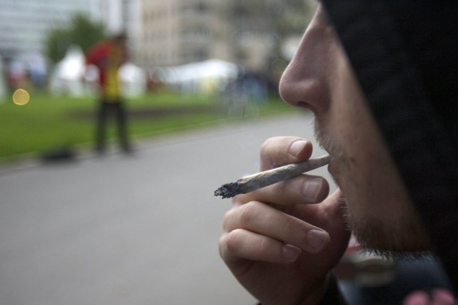 Britanska komisija: Kajenje marihuane je, enako kot hitra hrana, tveganje, ki ga bomo tolerirali