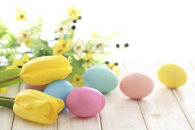 Oglasno sporočilo: Že veste katera jajca boste barvali?