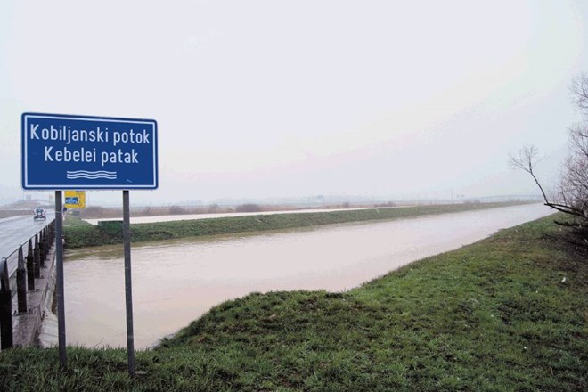 V Pomurju je poplavljena vsaj tretjina vseh kmetijskih površin. 