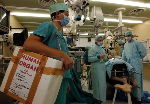 Na simbolični fotografiji so organi za transplantacijo, ki so prispeli na transplantacijsko presaditev.  Foto: Jaka Adamič 