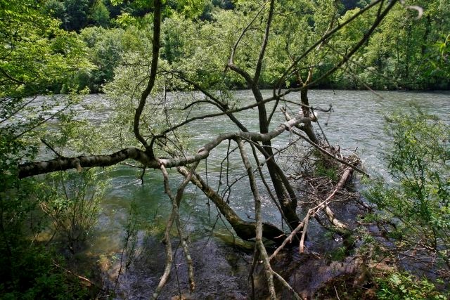 Zaradi obilnih padavin bodo konec tedna naraščale reke na vzhodu Slovenije