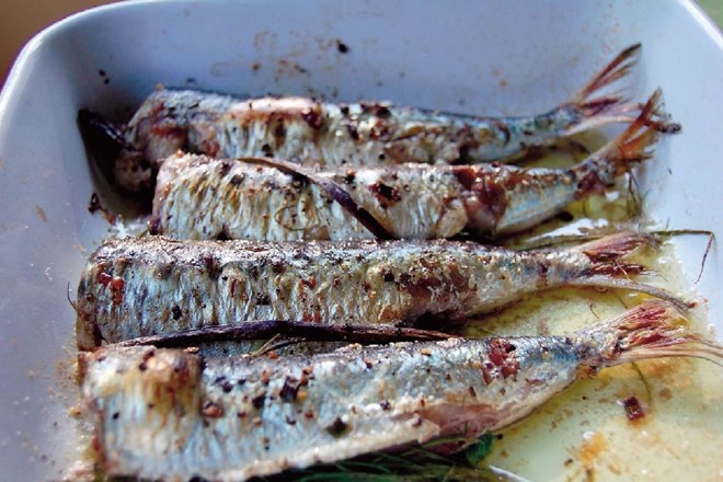 Drobne ribe velikega okusa: Sardele poleg sveže pečenih teknejo tudi hladne