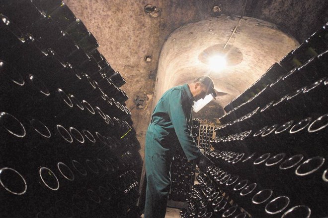 Vinska klet Radgonske gorice v Gornji Radgoni letno proizvede okoli milijon buteljk srebrne radgonske penine, kar je...