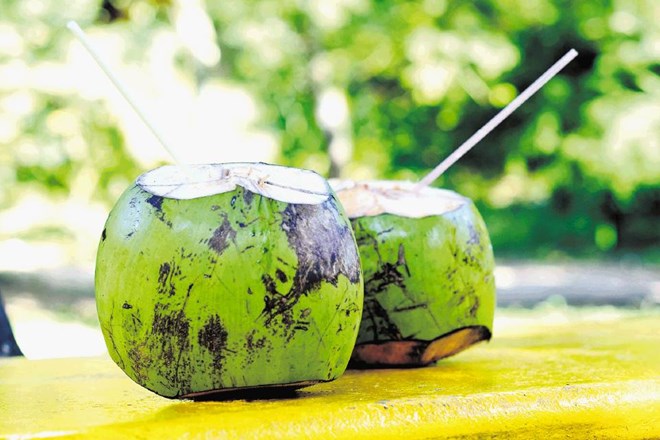 Navadni vodi stopa ob bok kokosova voda, ki organizmu zagotovi potrebne elektrolite, hkrati pa rehidrira in okrepi organizem...