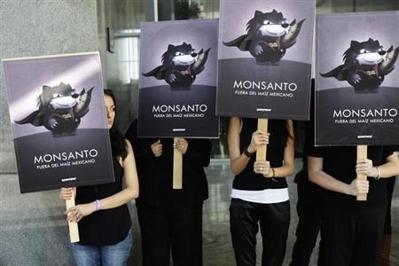 Monsanto je vodilno podjetje v proizvodnji gensko spremenjenih živil. 