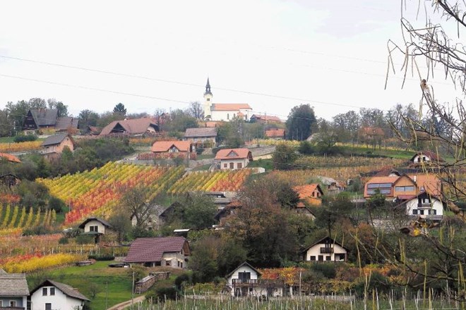 Trška gora pri Novem mestu je eden od vinorodnih okolišev mestne občine. 