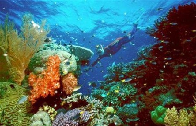 Med ogroženimi »čudeži« narave je tudi Veliki koralni greben v Avstraliji. 