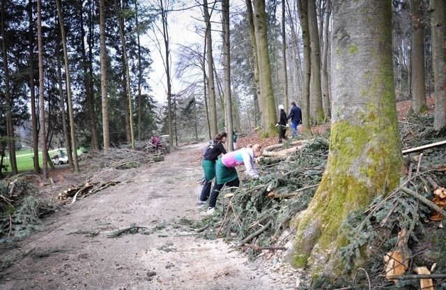 Arboretum Volčji potok vabi prostovoljce na delovno akcijo čiščenja  