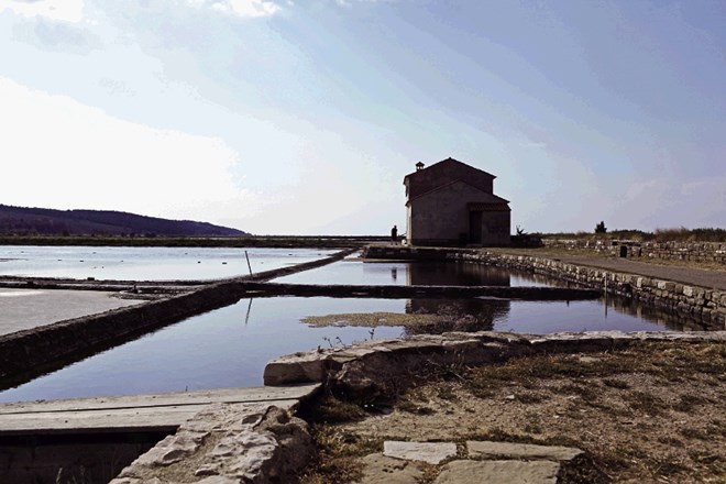 Primorska univerza si prizadeva za vpis Sečoveljskih solin na seznam Unescove dediščine