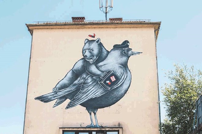 Ptič zasedel fasado upravne enote