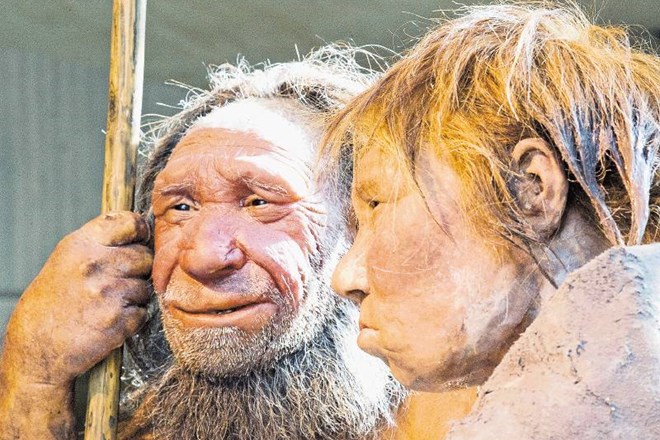 Moderni ljudje niso lovili in ubijali neandertalcev, prav tako neandertalci niso bili žrtve epidemije bolezni, ki bi jo lahko...