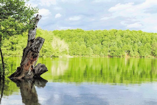 Obisk Plitviških jezer je balzam za dušo in telo. Thinkstock 