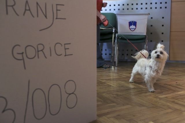 Pahor bi starostno mejo za participacijo na volitvah znižal na 16 let 