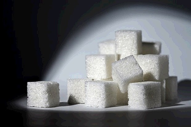 Namera za vnovično proizvodnjo sladkorja še vedno le želja 