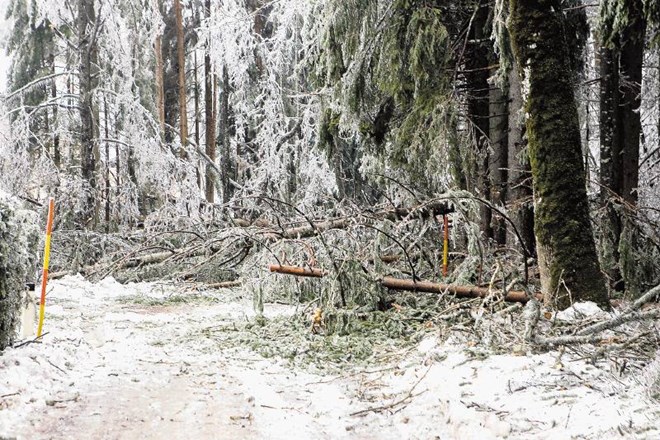 Naravne nesreče tudi občini Kamnik letos niso prizanašale. Jaka Gasar 