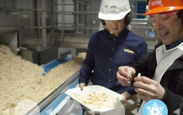 McDonald'sovi krompirčki nastanejo iz pravega krompirja (video)  