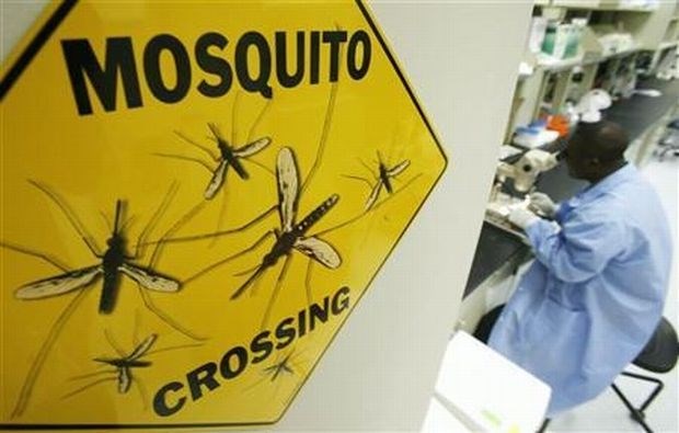 Paraziti malarije razvijajo odpornost proti zdravilom in ogrožajo zdravje ljudi 