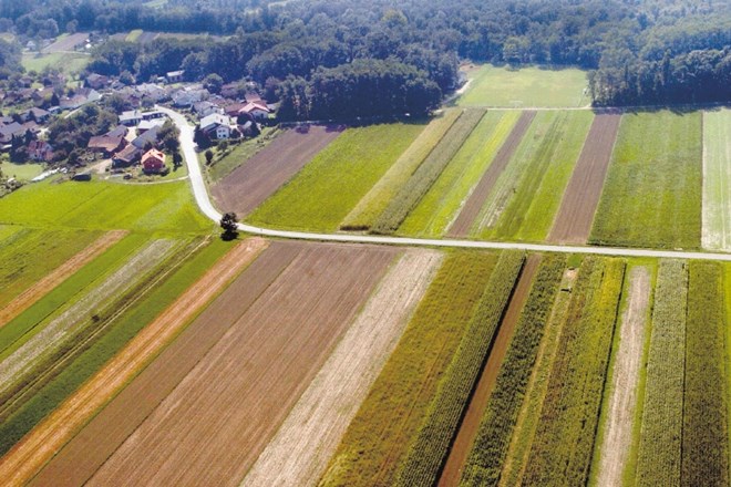 Državni sklad oddaja kmetijska zemljišča v zakup pod tržno ceno - v povprečju za 117 evrov na hektar