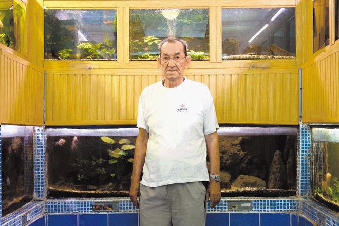 Riboslovec Anton Marjan Kresal v svojem akvariju v Šiški, ki je odprt tudi za javnost, že desetletja skrbi za več kot...